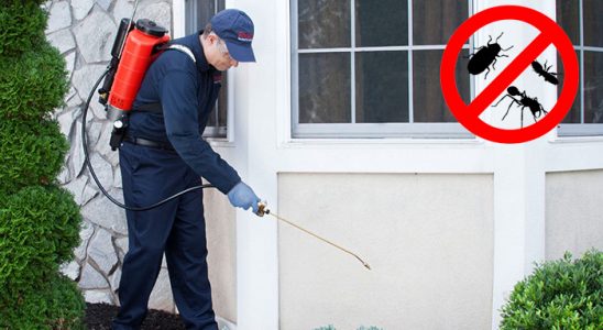 Arpaçay Karınca İlaçlama böcek ilaçlama ve haşere kontrolü — ilaclama-tr.com